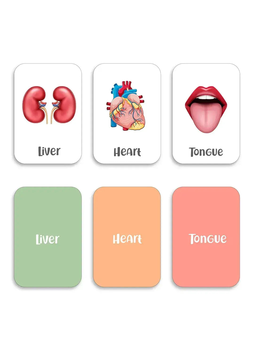iLearnNGrow Baby’s First Body Parts Flash Cards – Educational Learning Flashcard Set for Kids - ilearnngrow Learning Solutions Pvt Ltd