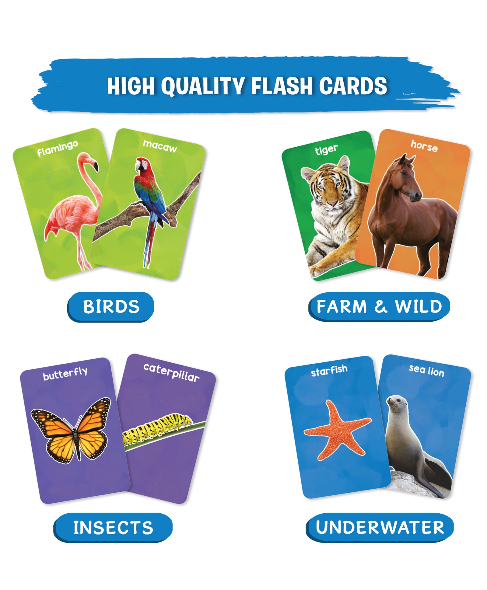 Skillmatics Flash Cards First 100 Animals Multicolour - 50 Pieces