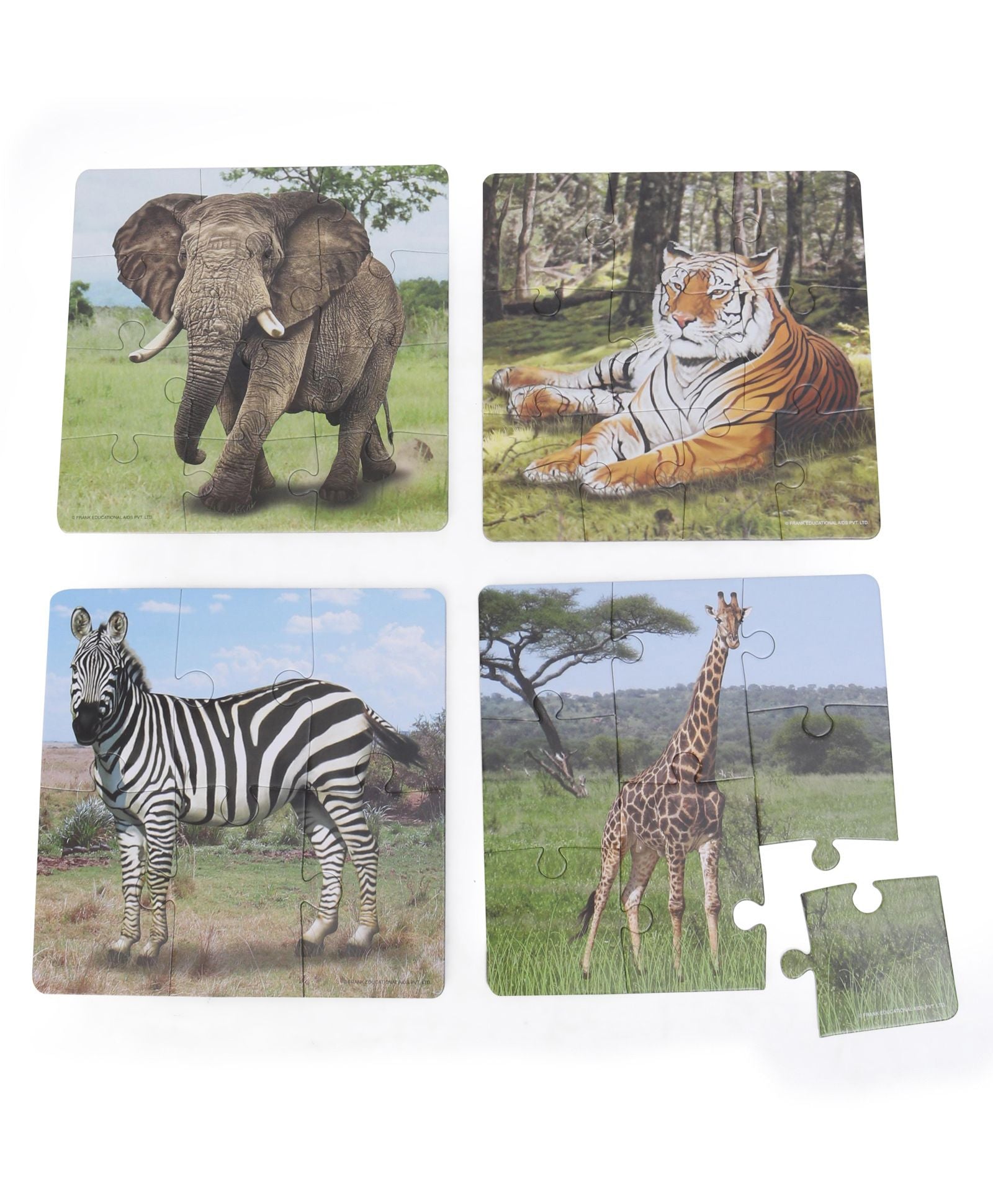 Frank In The Jungle 36 Pieces Puzzle Multicolor - Set of 4