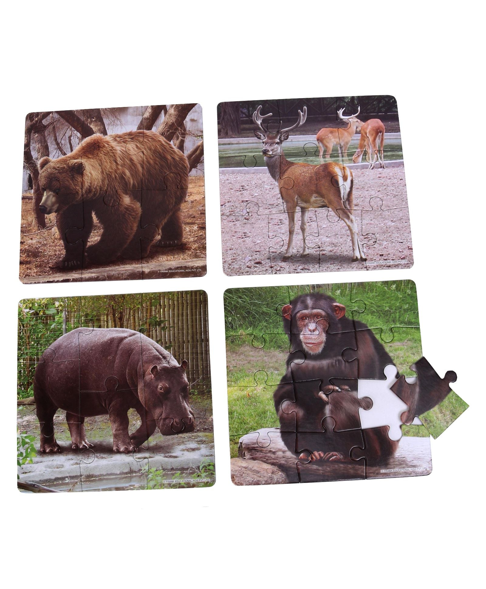 Frank Play And Learn In The Zoo Jigsaw Puzzle Multicolor Set of 4 - 36 Pieces