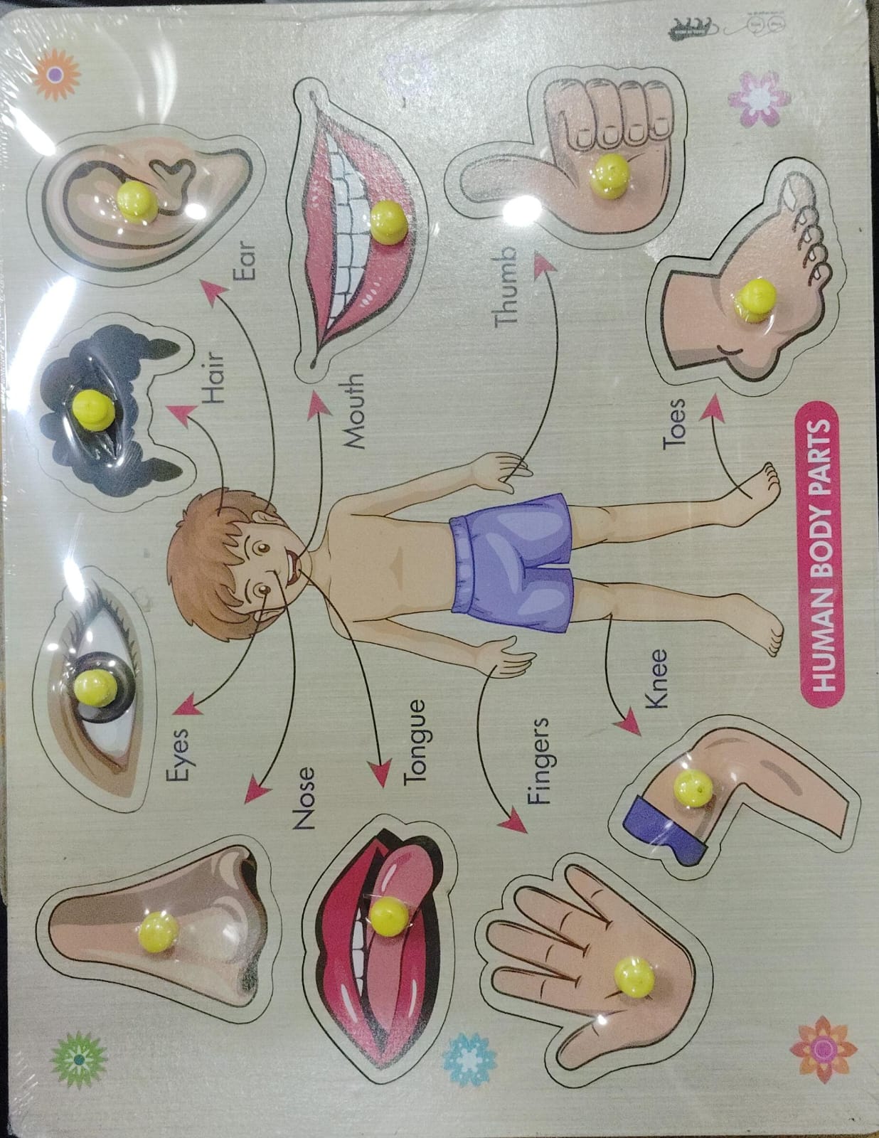 Colorful Learning Educational Board for Kids, Set of 5 Puzzle Board Includes Fruits, Solar System, Body Parts, Animals & Vehicles