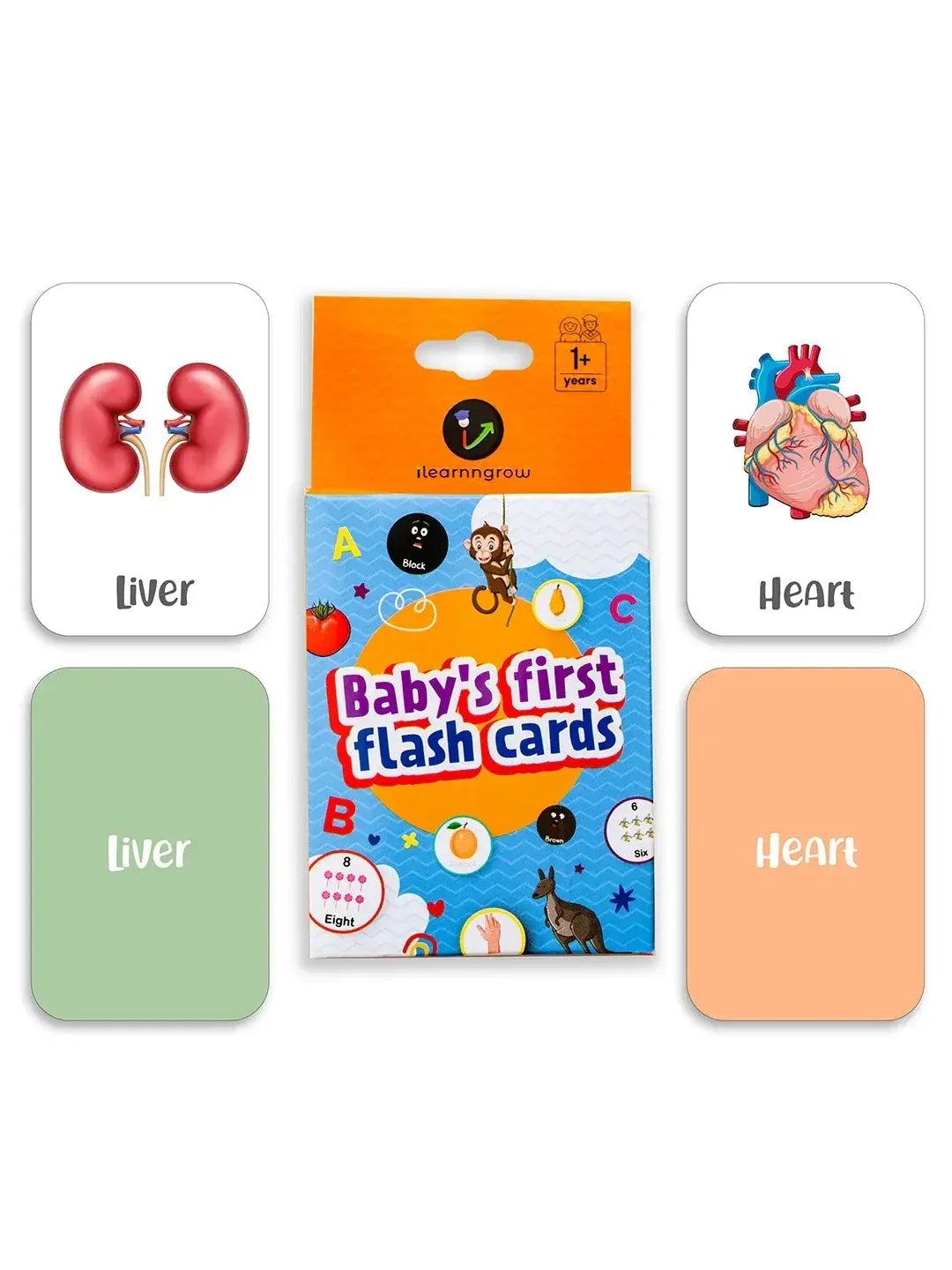 iLearnNGrow Baby’s First Body Parts Flash Cards – Educational Learning Flashcard Set for Kids - ilearnngrow Learning Solutions Pvt Ltd