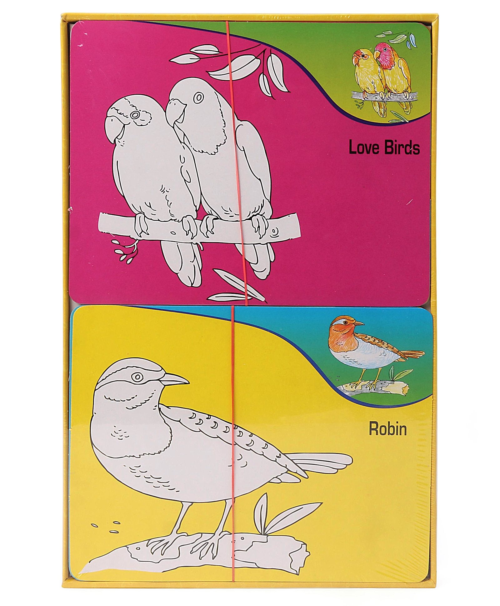 Toysbox Colour It Wipe It Birds - Multicolor