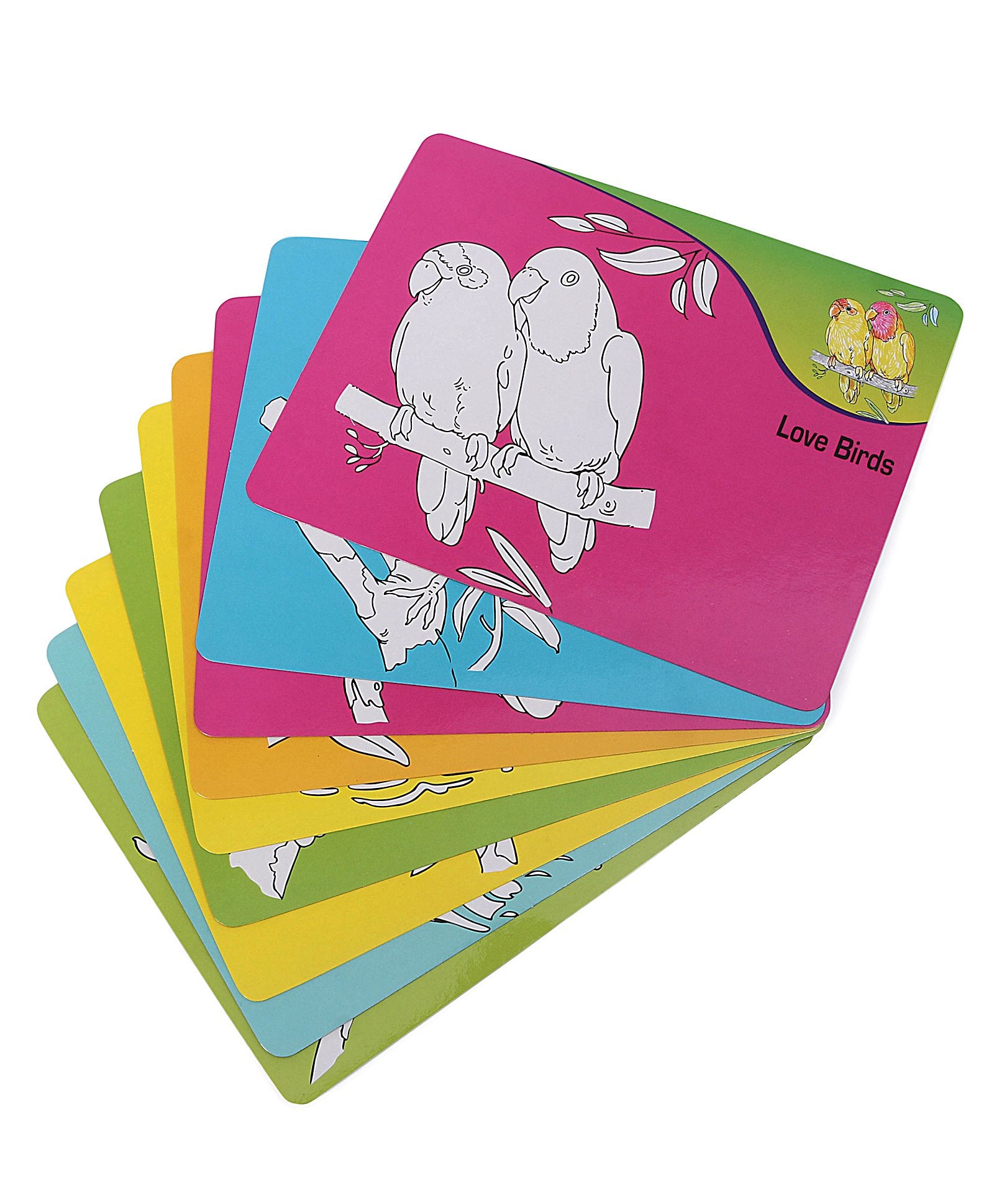 Toysbox Colour It Wipe It Birds - Multicolor