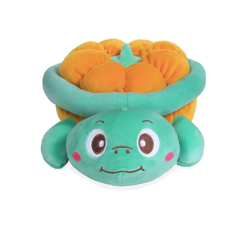 Lazy Baby Pumpkin The Playful Turtle