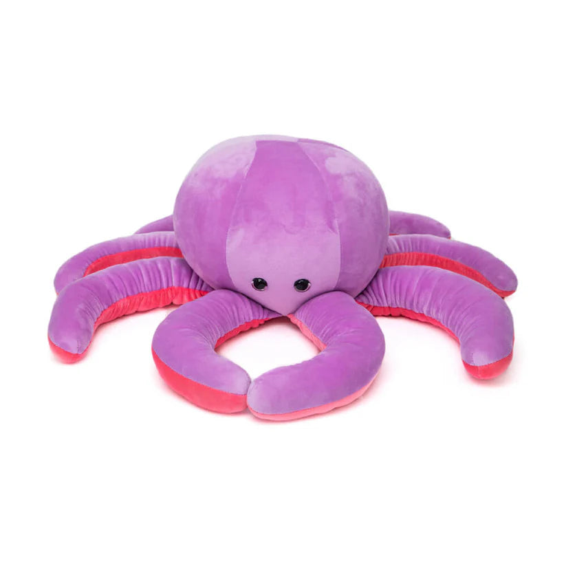 Lazy Baby Squiggy - The Clumsy Octopus