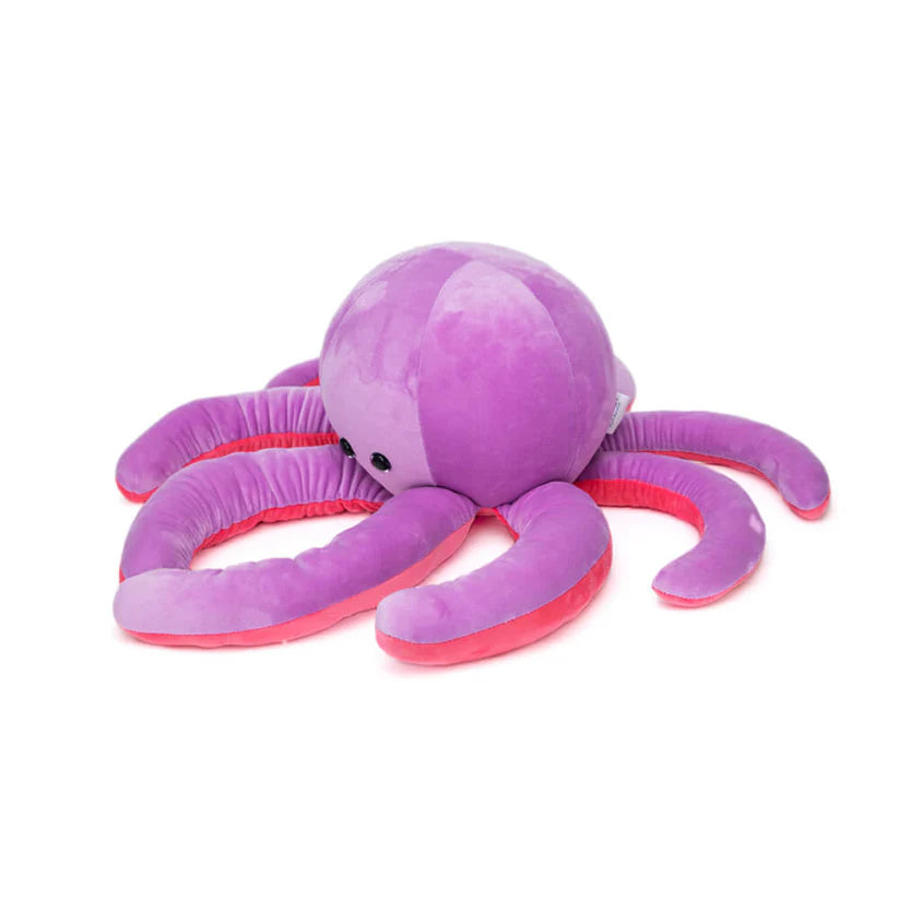 Lazy Baby Squiggy - The Clumsy Octopus