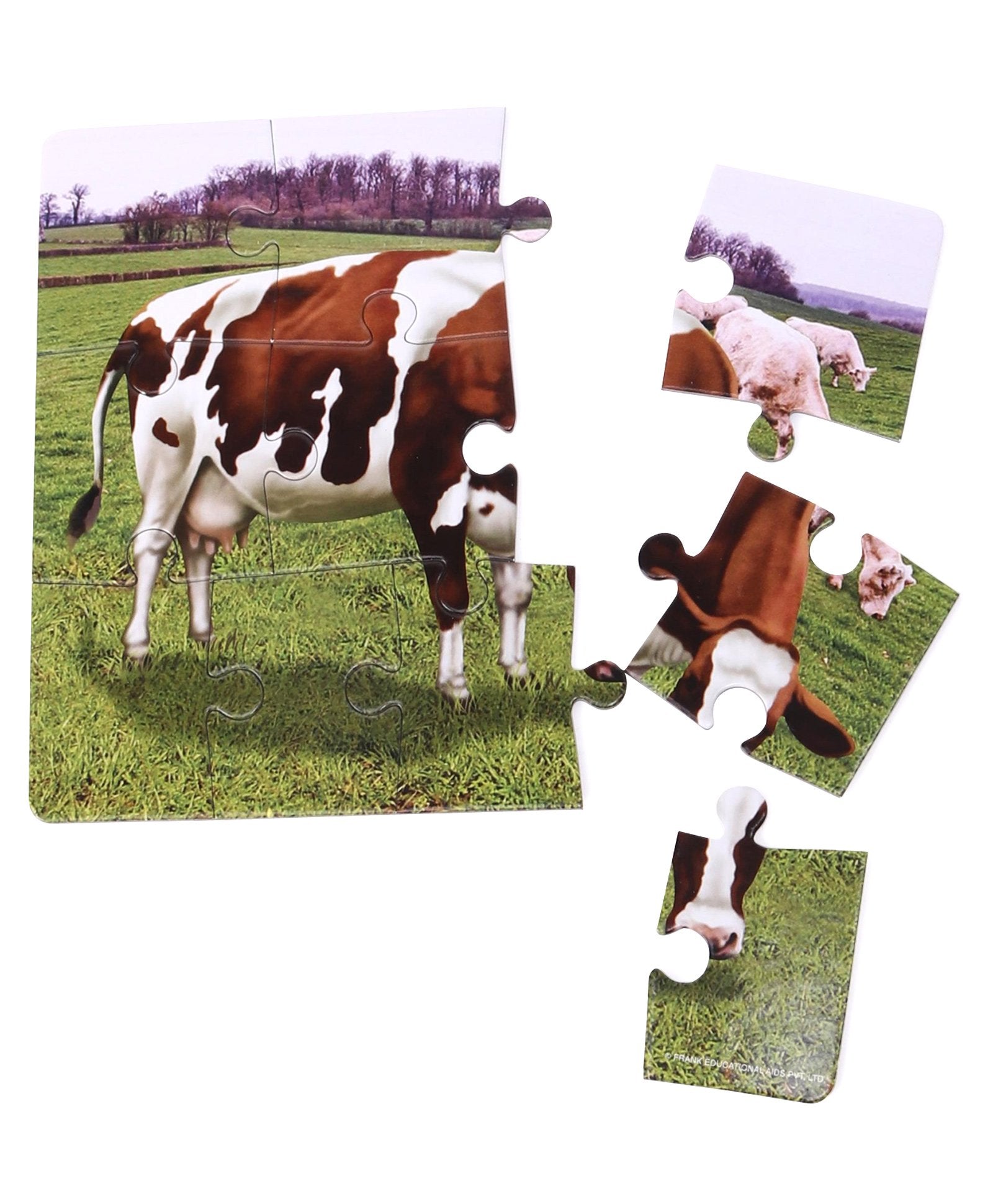Frank At The Farm Jigsaw Puzzle Multicolor Set of 4 - 36 Pieces