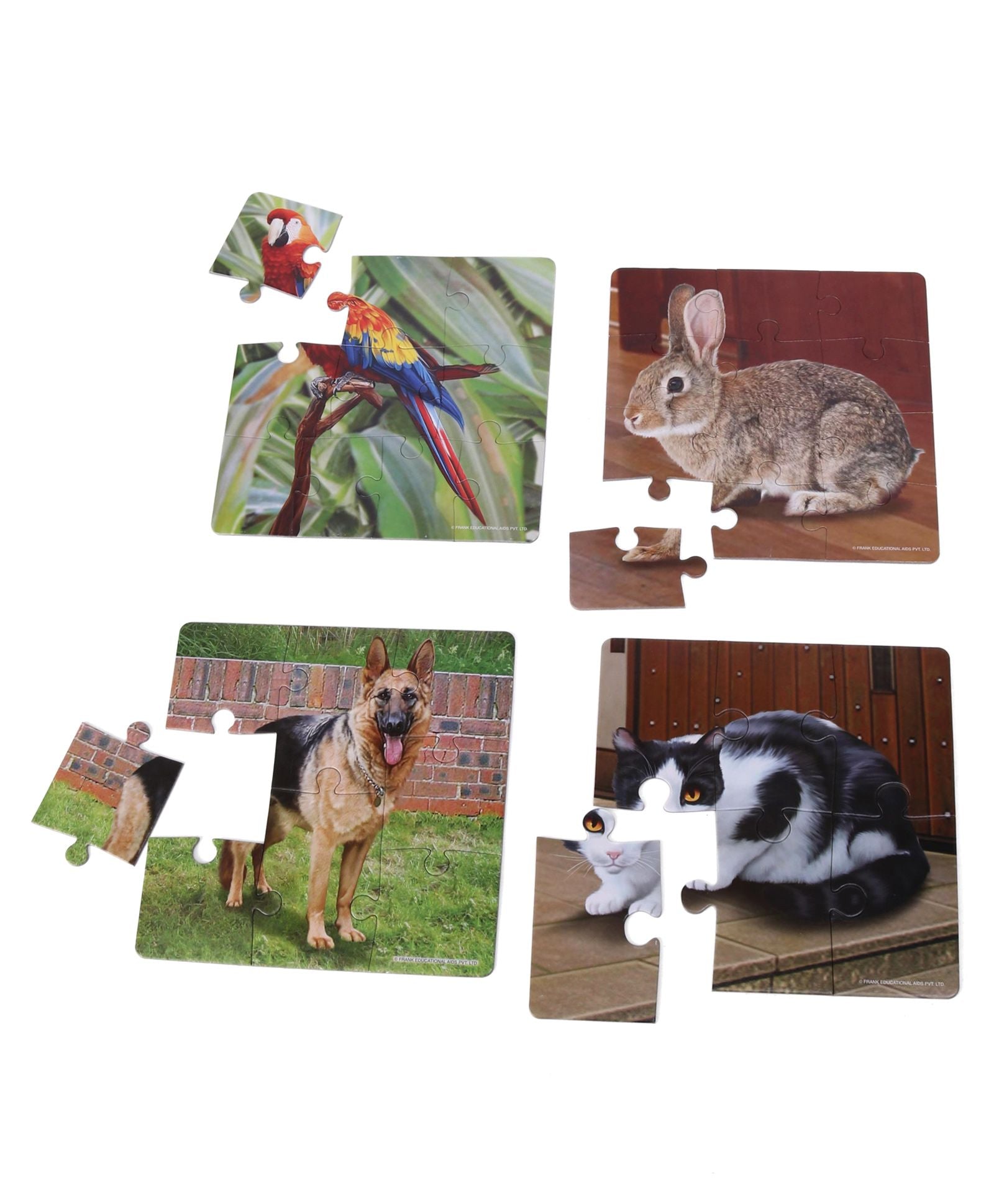 Frank My Pets Jigsaw Puzzle Multicolor Set of 4 - 36 Pieces