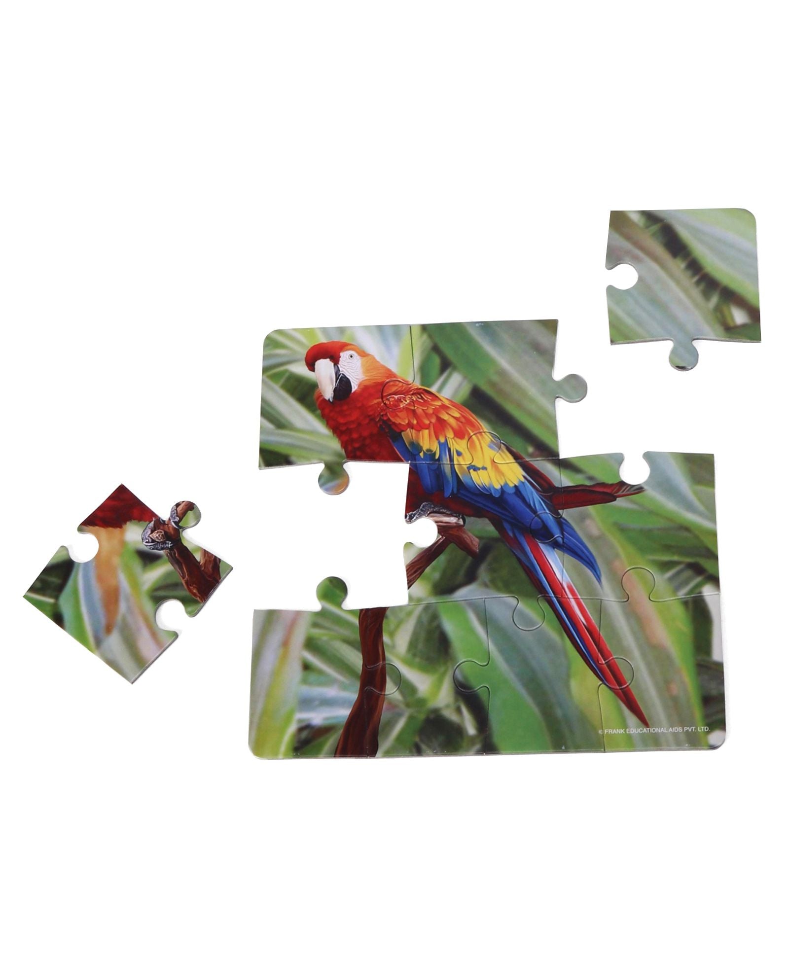 Frank My Pets Jigsaw Puzzle Multicolor Set of 4 - 36 Pieces