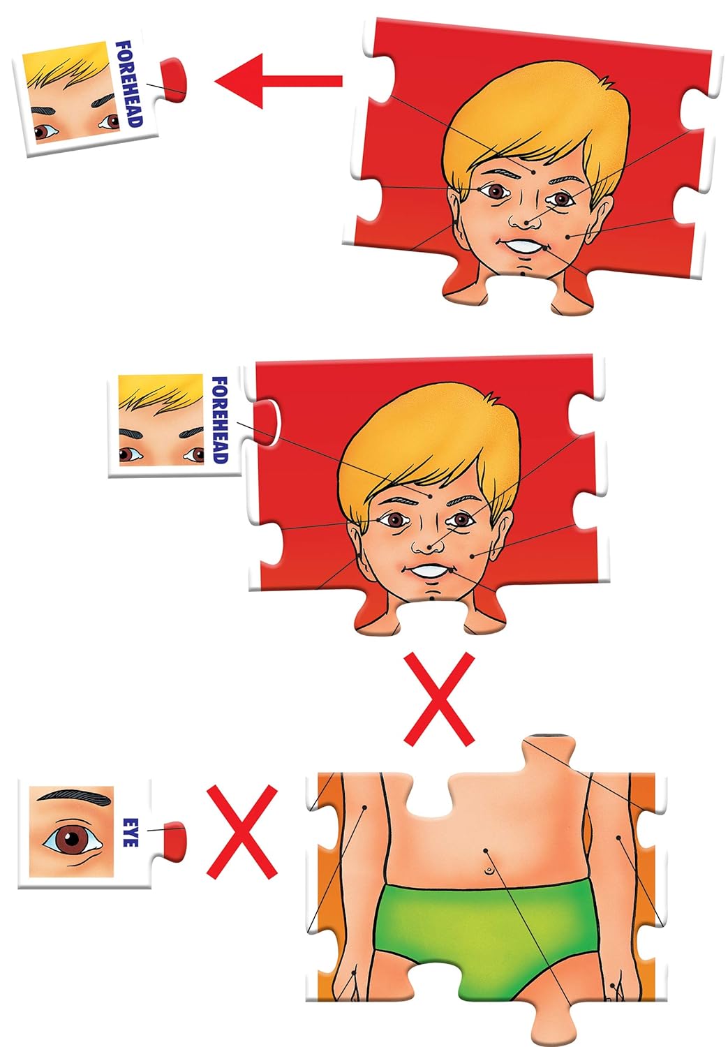 Frank Parts of My Body Puzzle – Self-Correcting Puzzle Pieces - Early Learner Human Body Parts Puzzle for Kids - Multicolor