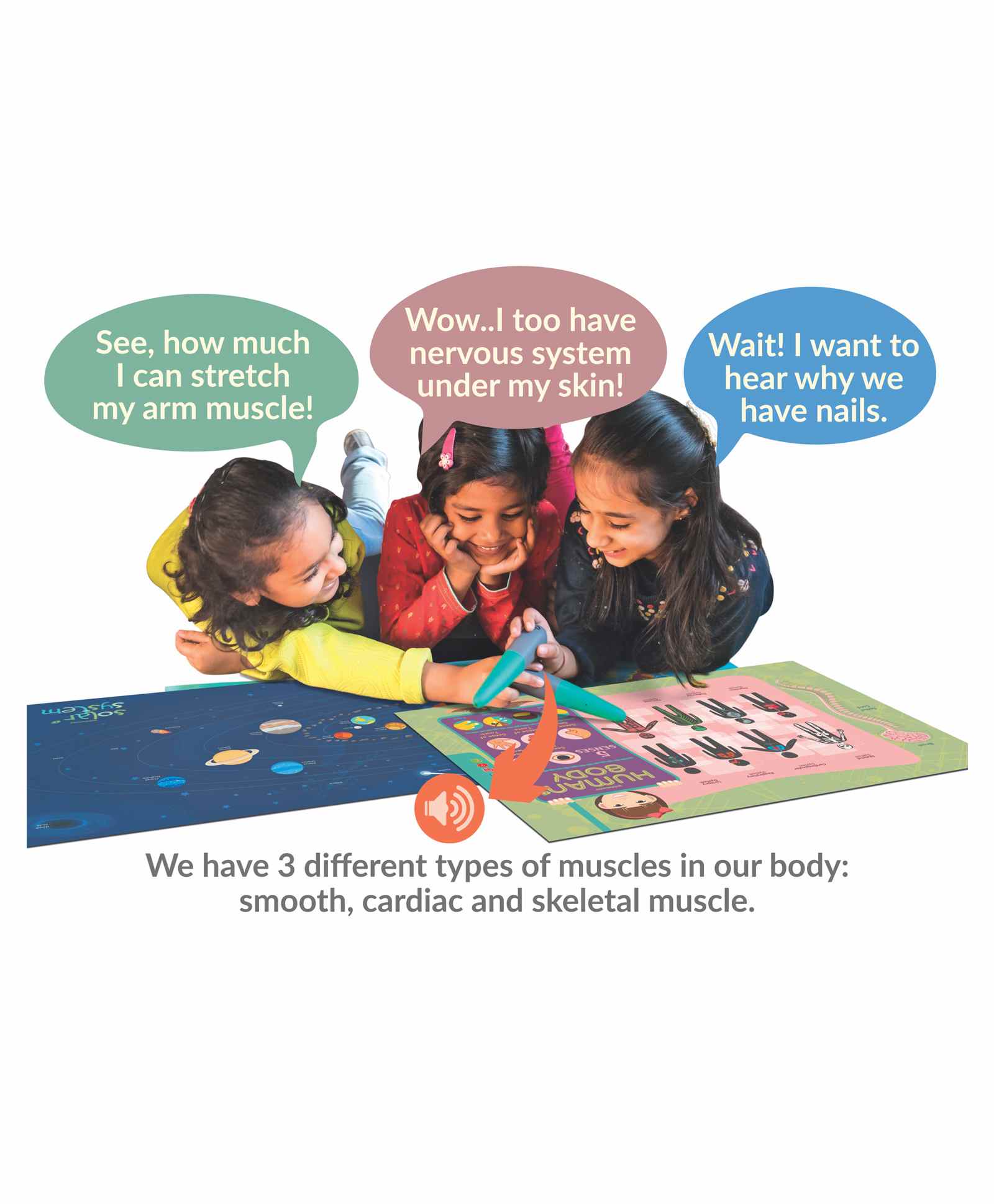 goDiscover Smart Chart Interactive Learning Series - 12 Charts