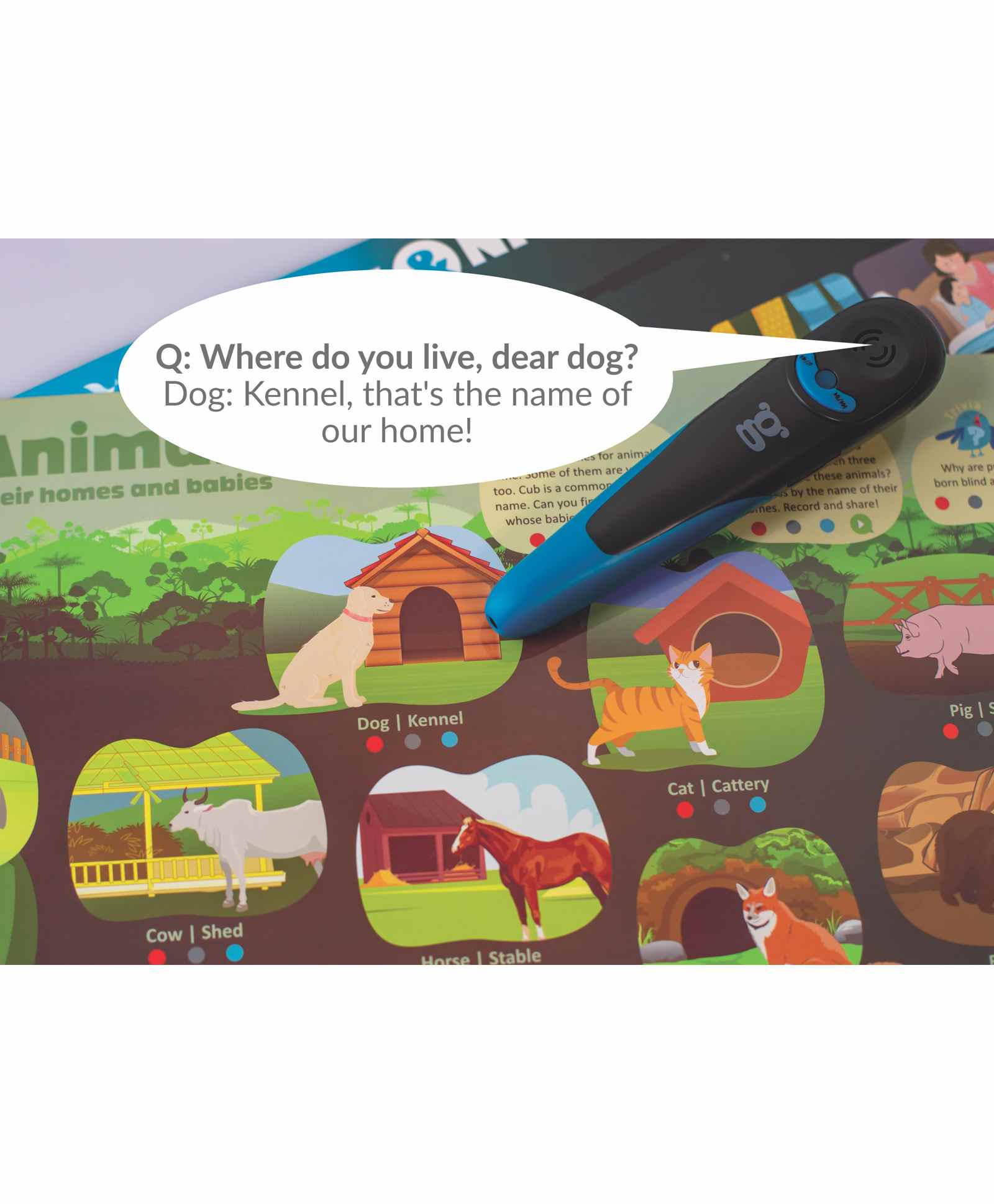 goDiscover Kinder Smart Interactive Learning Series - 18 Interactive Posters