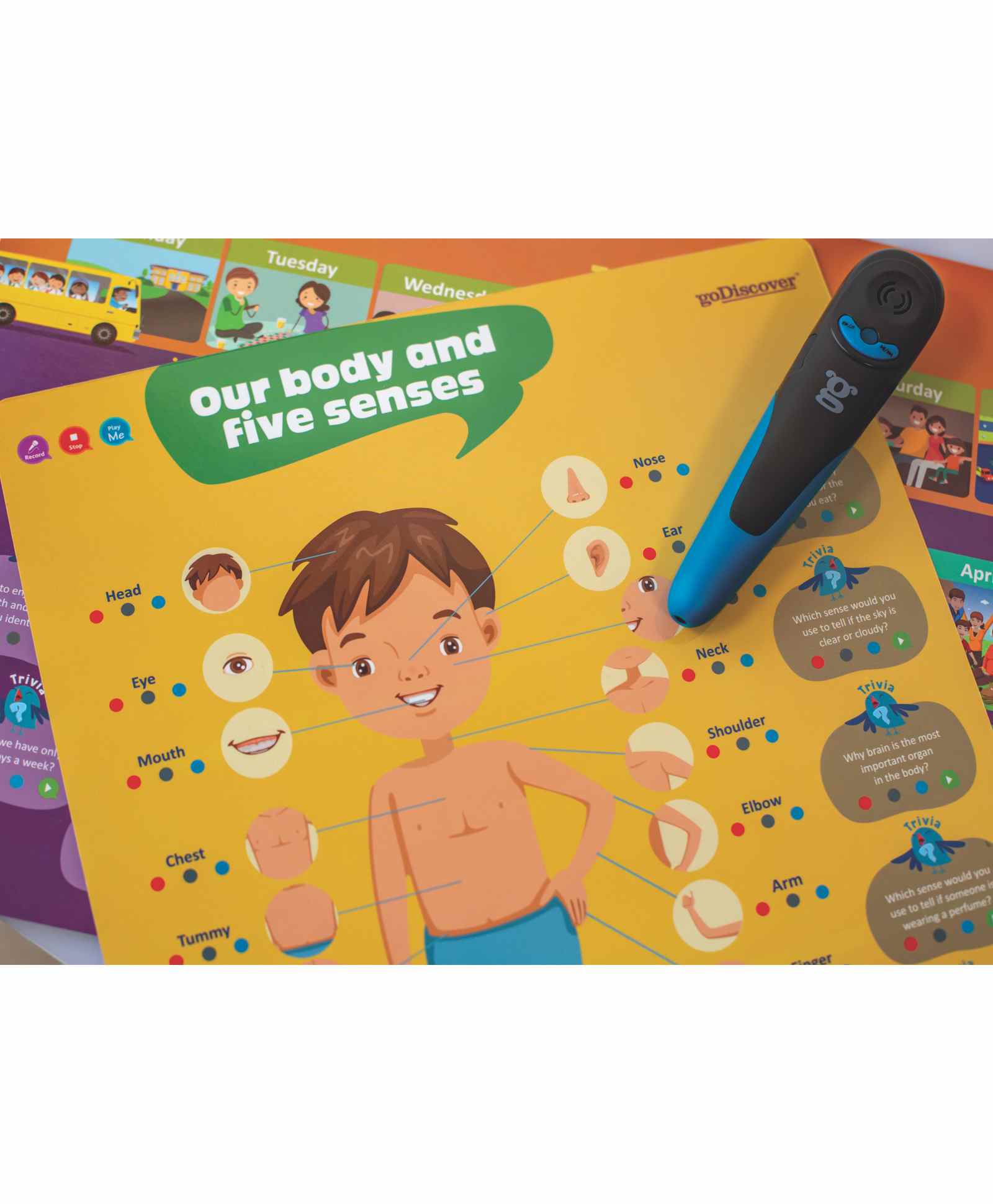goDiscover Kinder Smart Interactive Learning Series - 18 Interactive Posters