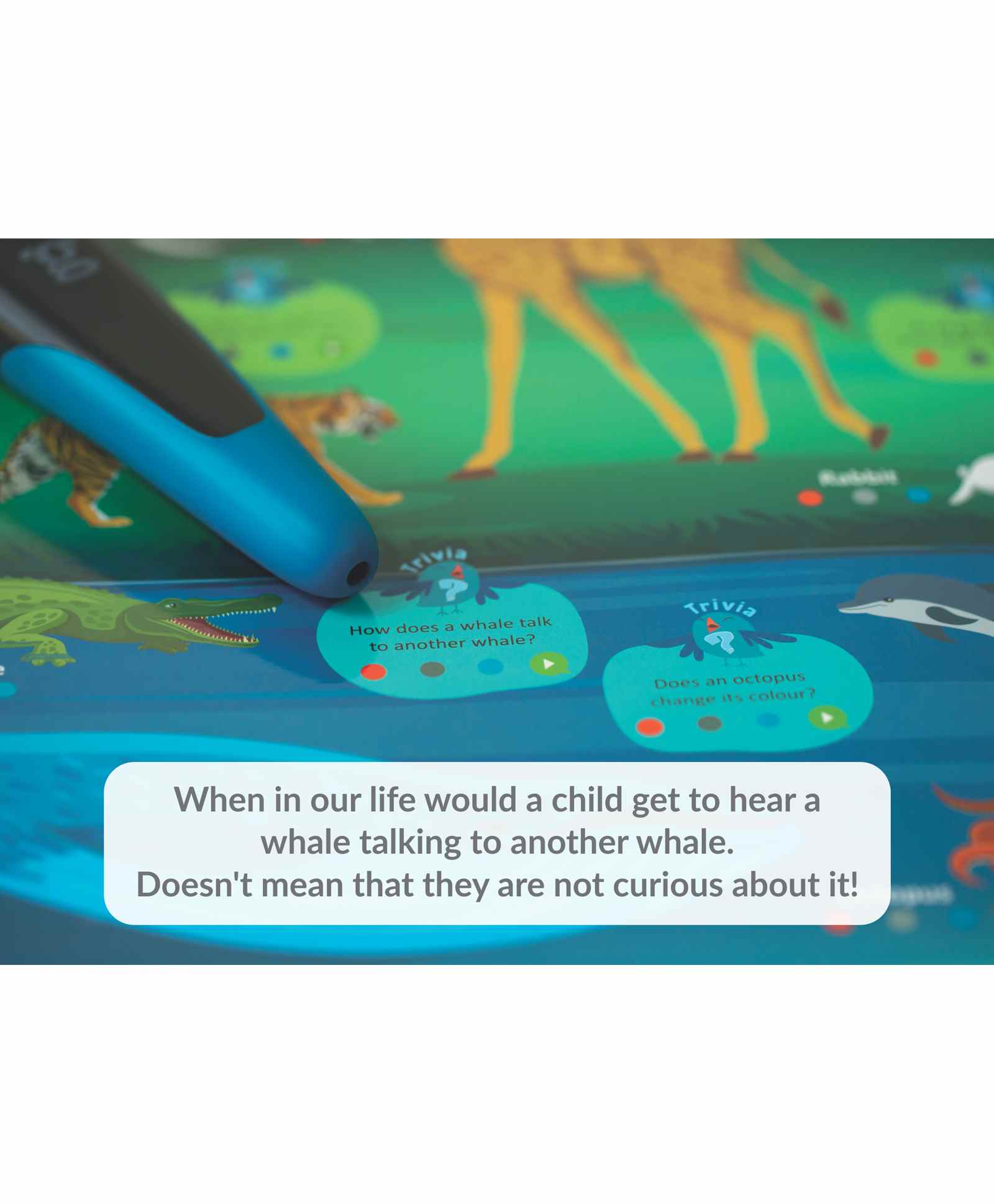 goDiscover Kinder Smart Interactive Learning Series - 18 Interactive Posters