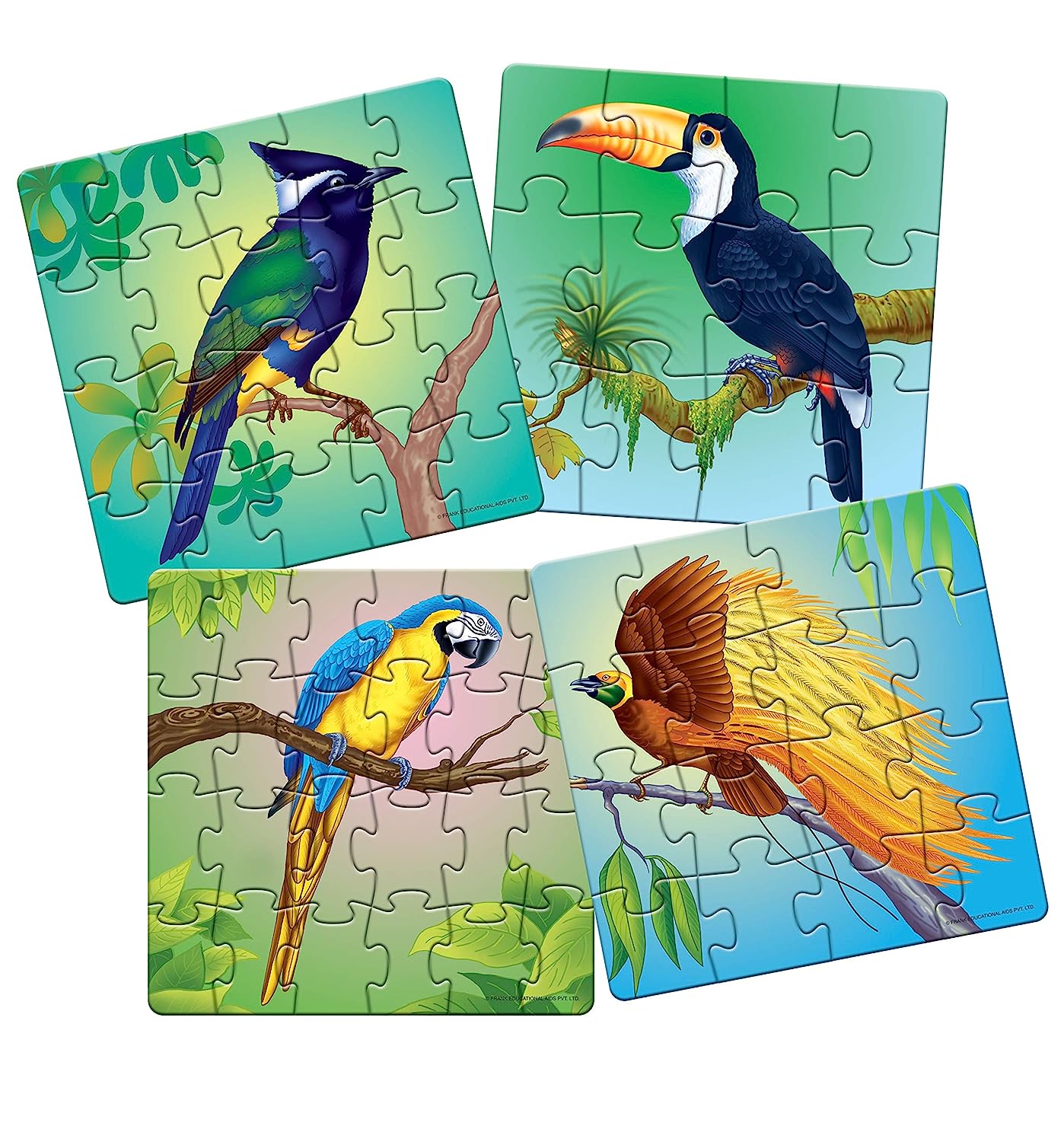 Frank Animal Puzzles for Kids - Exotic Birds - Set of 4 Jigsaw Puzzles for Kids