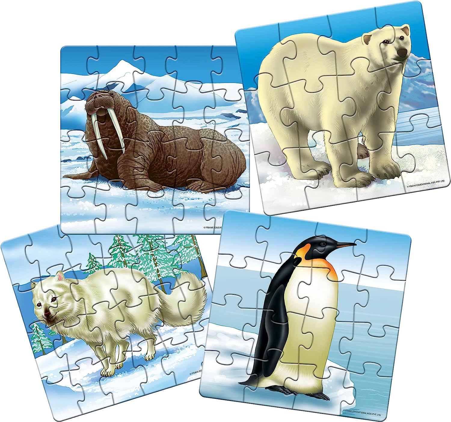 Frank Animal Puzzles for Kids - Polar Animals - Set of 4 Jigsaw Puzzles for Kids