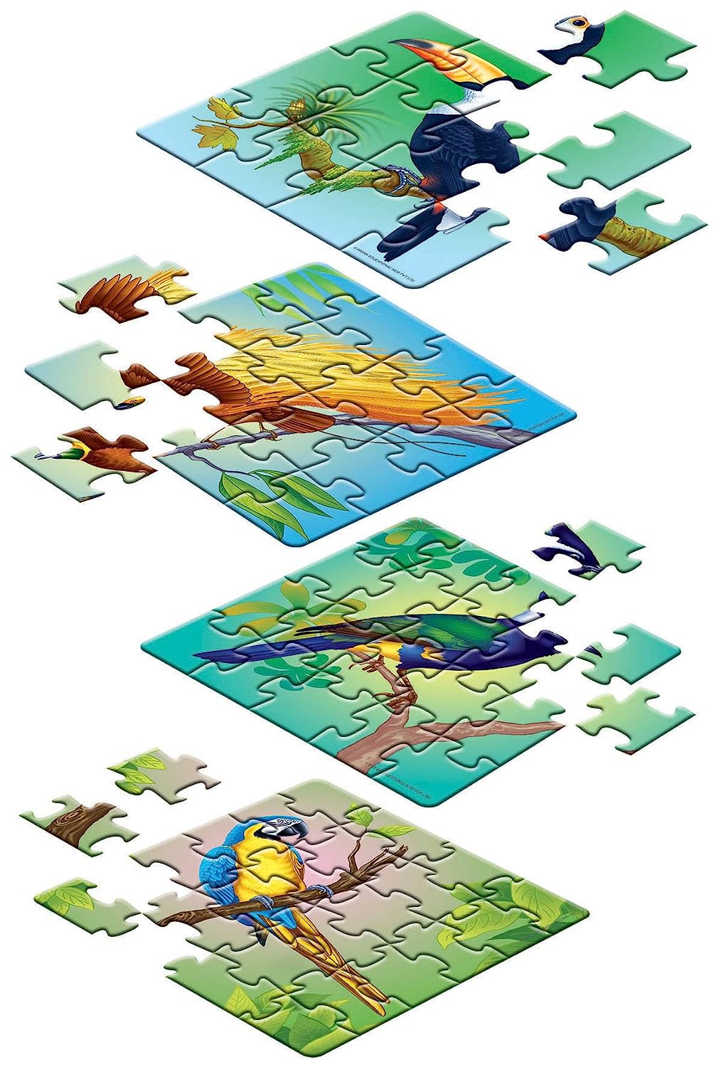 Frank Animal Puzzles for Kids - Exotic Birds - Set of 4 Jigsaw Puzzles for Kids