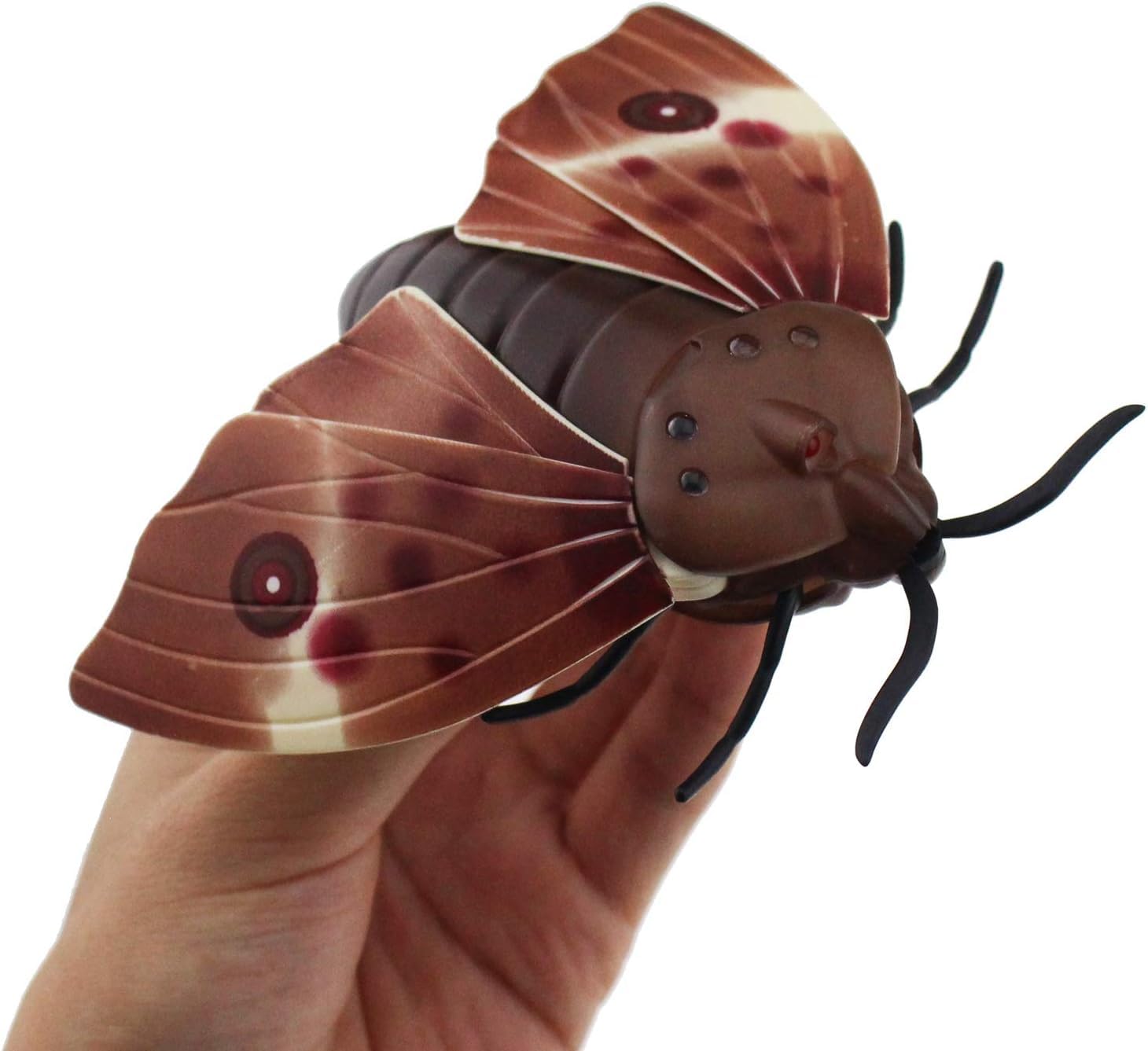 RC Moth Animal Toy Remote Controlled Car Vehicle Electric Insect Kids Toys Gifts for Kids