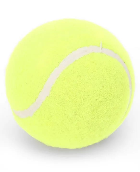 Funskool Lagori Sports Game: The Traditional Outdoor Game for Kids - Multicolour