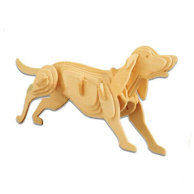 3D Mechanical Educational Wooden Puzzles for Kids | Models to Build, Walking Airplane/Dog/House Puzzle, Kinetic Art, Educational Learning Toys | STEM Learning DIY Kits for Adults | Pack of 3