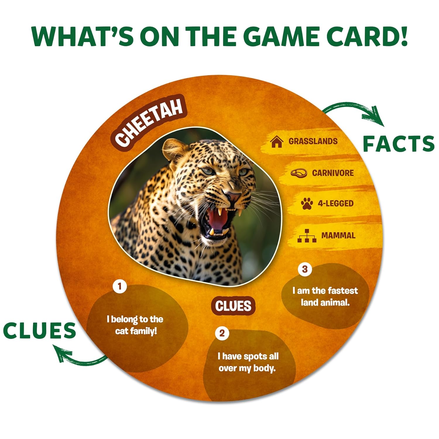 Skillmatics Card Game - Guess in 10 Picture Clues Animal Planet