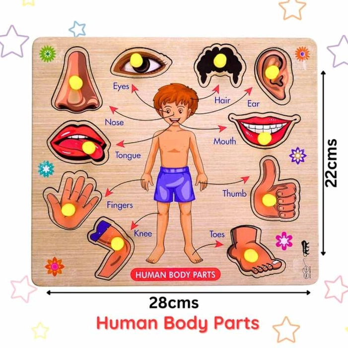 Pre-School Wooden Puzzle Old Boys Girls Toys for Kids Jigsaw Puzzles for Baby Learning Toys Educational Toys for Kids