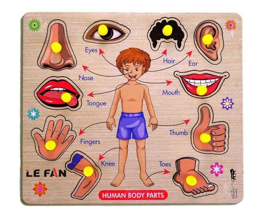 Pre-School Wooden Puzzle Old Boys Girls Toys for Kids Jigsaw Puzzles for Baby Learning Toys Educational Toys for Kids - Big Size