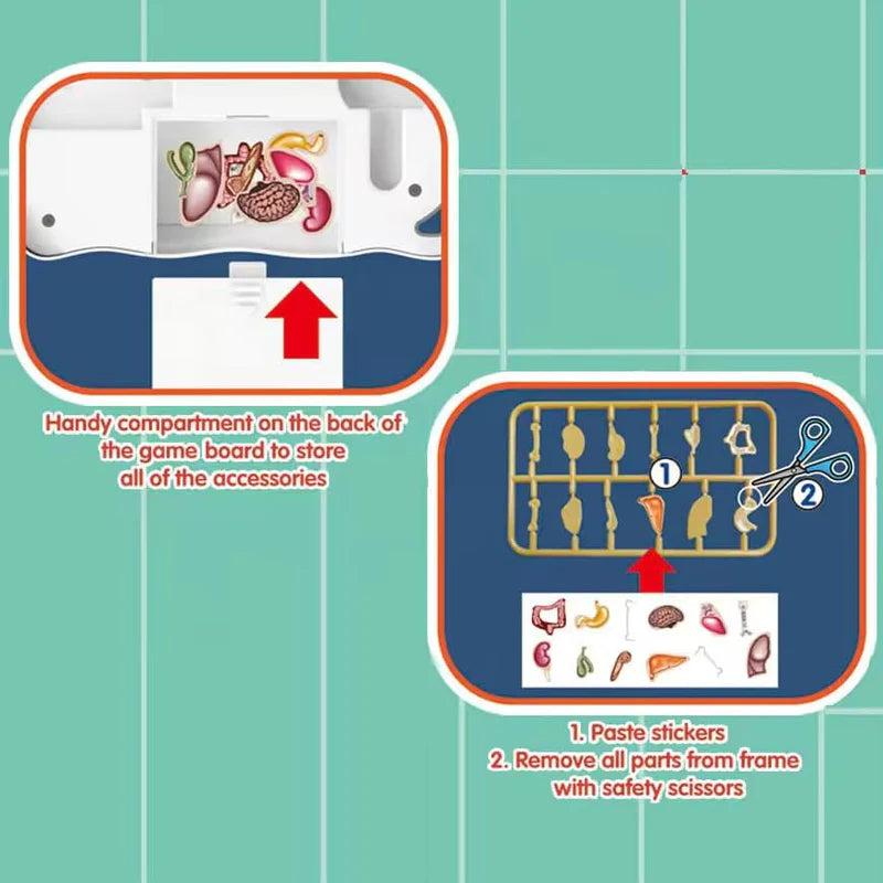 Cots and Cuddles Crazy Doctor Electronic Organ Game – Fun Anatomy Toy for Kids