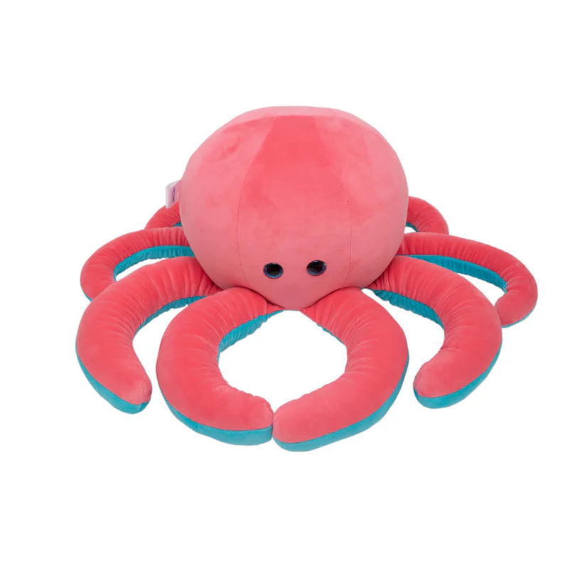 Lazy Baby Squiggy - The Clumsy Octopus